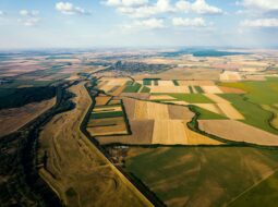 Finding Your Niche in Land Development